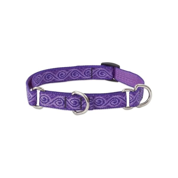 Durable Martingale Collar for Medium to Large Dogs with Jelly Roll Pattern