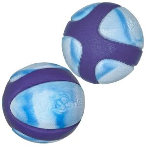 Durable Natural Rubber Dog Chew Balls 2 5 Inch Pack of 2 for Small Medium Breeds