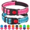 Durable Neoprene-Coated Nylon Dog Collars for Medium to Large Dogs