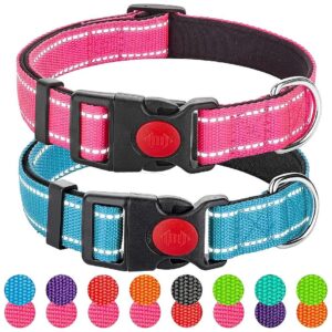 Durable Neoprene-Coated Nylon Dog Collars for Medium to Large Dogs