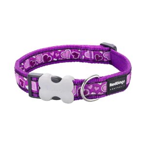 Durable Nylon Breezy Love Purple Dog Collar with Adjustable Fit