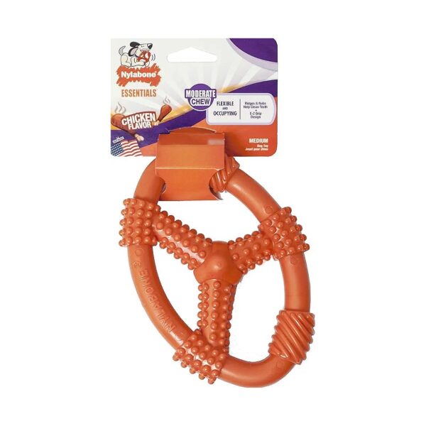 Durable Nylon Dog Chew Toy with Spinning Action and Nubs for a Long Lasting Fun