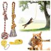 Durable Outdoor Exercise Equipment for Medium and Large Dogs with Tether and Rope Toys