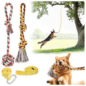 Durable Outdoor Exercise Equipment for Medium and Large Dogs with Tether and Rope Toys