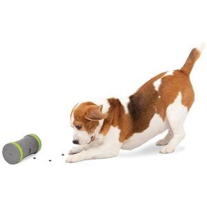 Durable Plastic Treat Dispensers for Dogs, Encourages Active Play