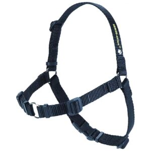 Durable Polyester Harness with Front-Leash Attachment for Small Dogs