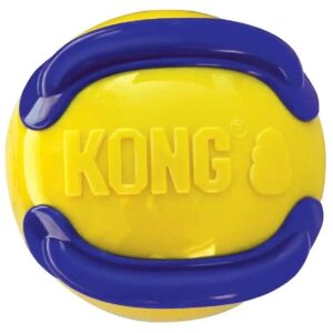 Durable Raised Ridges Ball Toy for Chewing and Fetch