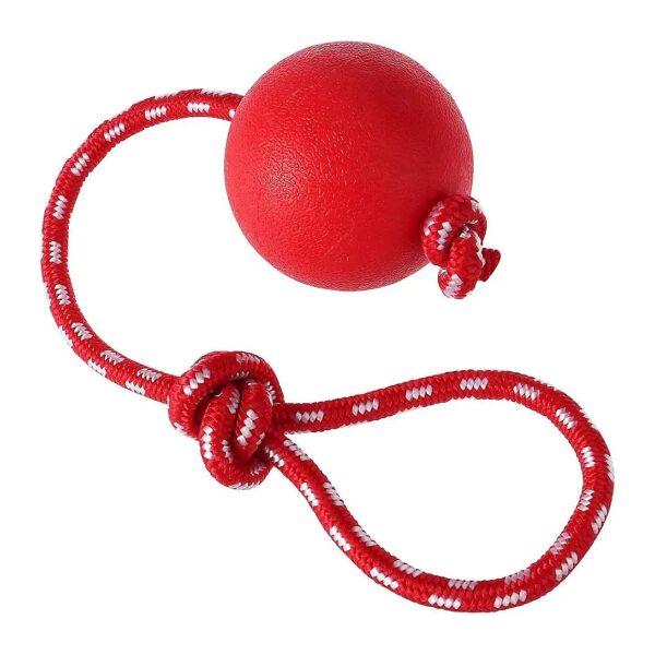 Durable Rubber Chew Toy Ball with Rope for Interactive Dog Training and Exercising