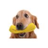 Durable Rubber Chew Toy for Aggressive Chewers and Teething Puppies