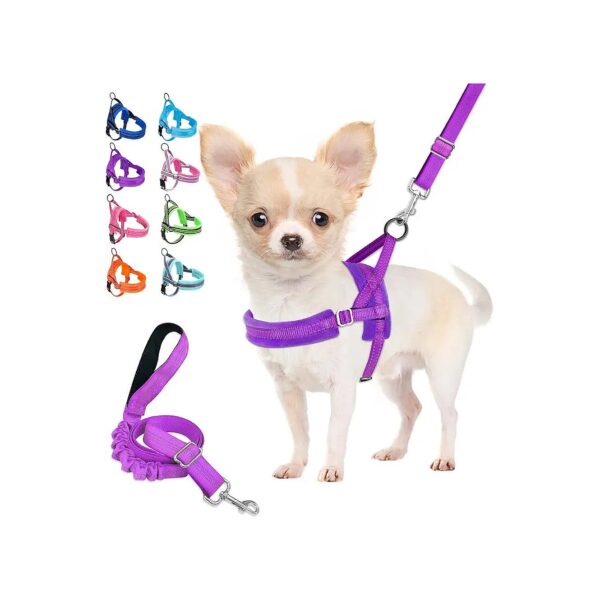 Durable Small Dog Leash with Reflective Straps and Adjustable Harness for Busy Owners