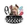 Durable Spiked Leather Dog Collars with Leash for Medium Large Small Dogs Gift