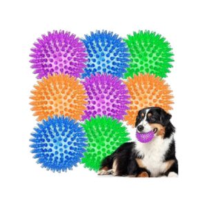 Durable TPR Squeaky Dog Toy Balls for Cleaning Teeth and Gums