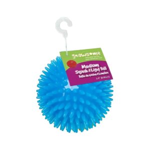 Durable Textured Toy for Dogs Promoting Good Dental and Gum Health