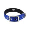 Durable Water Resistant Adjustable Blue Dog Collar with Soft Lining and Metal Buckle