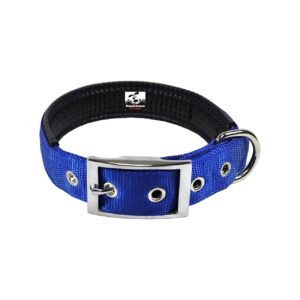 Durable Water Resistant Adjustable Blue Dog Collar with Soft Lining and Metal Buckle