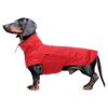 Durable Waterproof Raincoat for Small Breeds High Quality Material Dachshunds Red X-Large