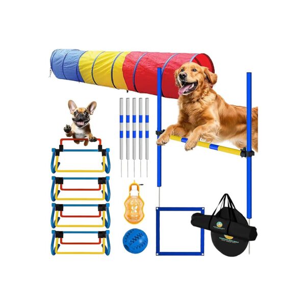 Durable and Adjustable Dog Agility Equipment for Backyard Play and Training