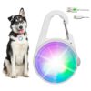 Durable and Adjustable Dog Collar Light with LED Safety Light for Night Walkers