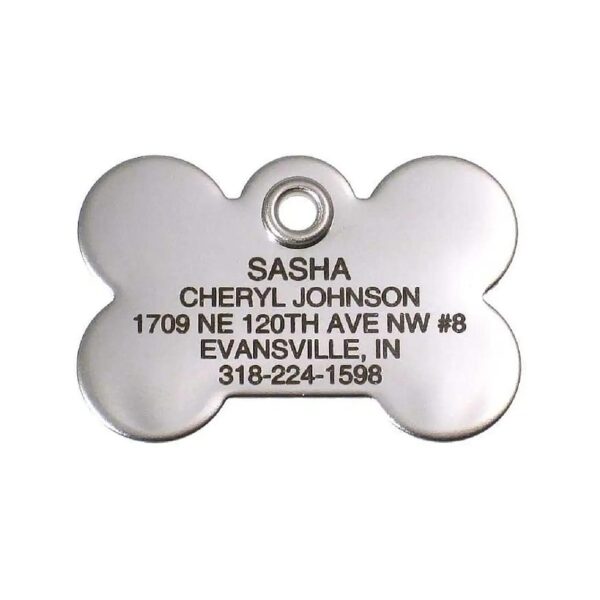 Durable and Easy to Read Stainless Steel Pet ID Tag with Reflective Safety Feature