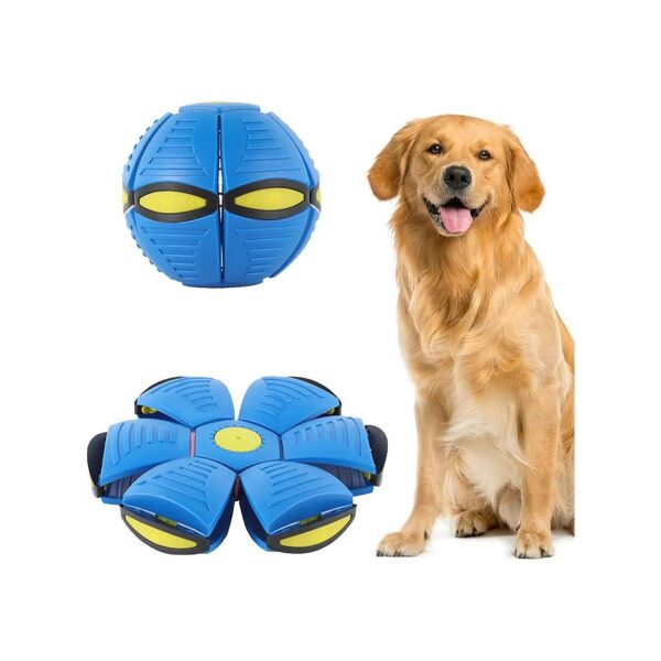 Durable and Fun Changeable Shape Flying Saucer Dog Ball Toy for Medium Large Dog Play