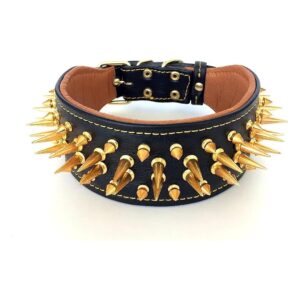 Durable and Longlasting Belted Leather Dog Collar with Soft Cushion and Gold Spikes