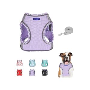 Durable and Reflective Mesh Dog Harness and Leash Set for Medium-Sized Dogs