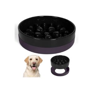 Durable and Sturdy Ceramic Slow Feeder Dog Bowls for Medium Large Breed