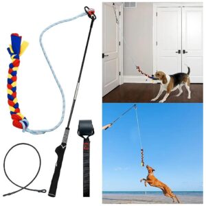 Durable and Sturdy Dog Exercise and Training Toy for Small to Large Pets