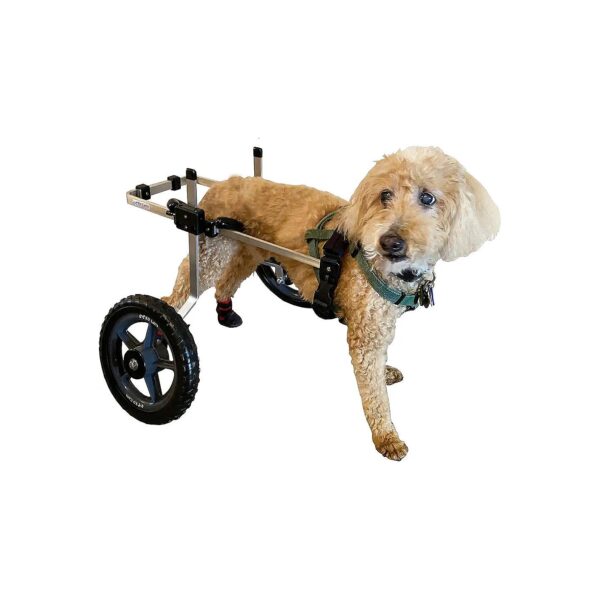 Durable and Sturdy Medium Size Dog Wheelchair Handcrafted in the USA