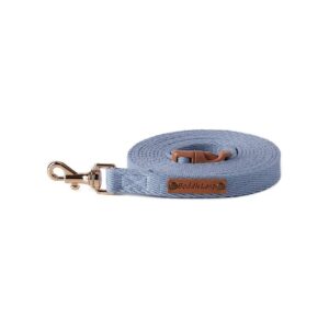 Durable and Versatile 6 Foot Dog Leash for Small to Medium Dogs with Sky Blue Color