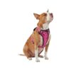 Durable and Versatile Pink Dog Harness with Chest Plate and Neoprene Handle