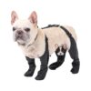 Durable and Waterproof Dog Walking Booties for Small to Medium Size Dogs