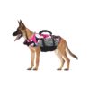 Duty Dog Life Jacket with Safety D-Ring and Grab-Handle