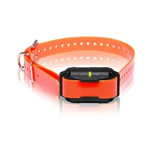 Duty Dog Training E-Collar with 3/4-Mile Range and 2-Dog Expandability