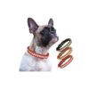 Duty Hardware, Perfect for Small Female Breeds, Offering Unmatched Comfort and Durability