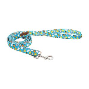 Easter Egg Dog Leash for Small Medium Large Dogs Made from Sturdy Cotton Dog Harness