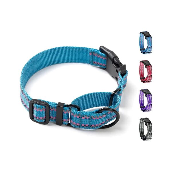 Easy Adjustable Martingale Dog Collar with Reflective Threading for Small to Large Dogs