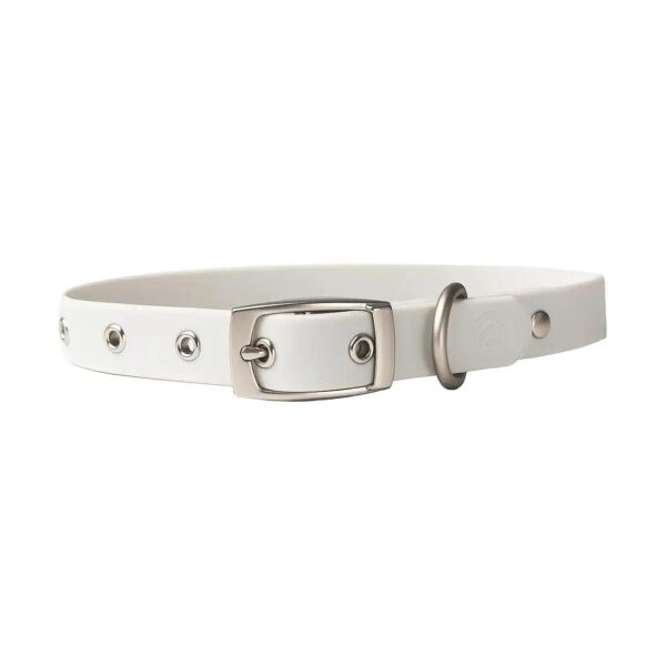 Easy Clean Ash Medium Dog Collar with Metal Buckle and Nylon Strap