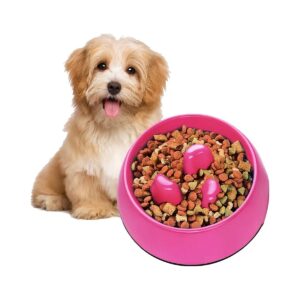 Easy Cleaning and Maintenance Slow Feeder Dog Bowl for Wet or Dry Diets