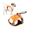 Easy Control No-Pull Dog Harness with Adjustable Neck and Chest Straps for 15-33 LBS Dogs