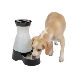 Easy Fill Pet Water Station with 1 Gallon Capacity and Filter Compatibility