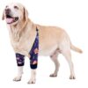 Easy On Off Elbow Sleeve with Mesh Pad for Wound Protection and Comfort Medium Large Dogs