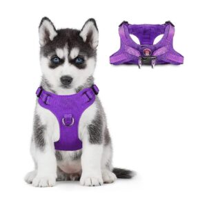 Easy Step-in Dog Harness with Reflective Adjustable Buckle for Small Medium Dogs Cats