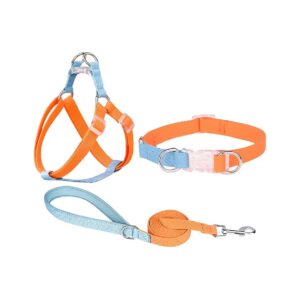 Easy Walk Dog Halter Harness with Padded Handle and Leash