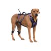 Easy Walk Dog Harness with Total of 3 Leash Rings and Front Ring