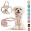 Easy Walk Step in Dog Harness and Leash for Small Medium Dogs with Adjustable Design