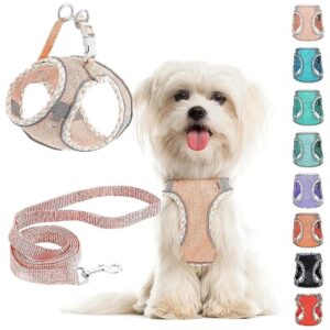 Easy Walk Step in Dog Harness and Leash for Small Medium Dogs with Adjustable Design