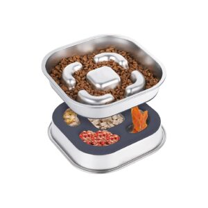 Easy-to-Clean Slow Feed Dog Bowls with Non-Slip Base and Stainless Steel Material