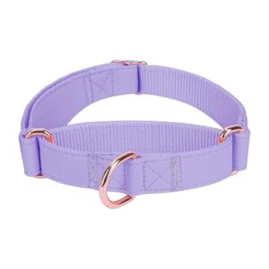 Easy to Clean Soft Leather Martingale Dog Collar Heavy Duty Nylon No Pull Training Purple