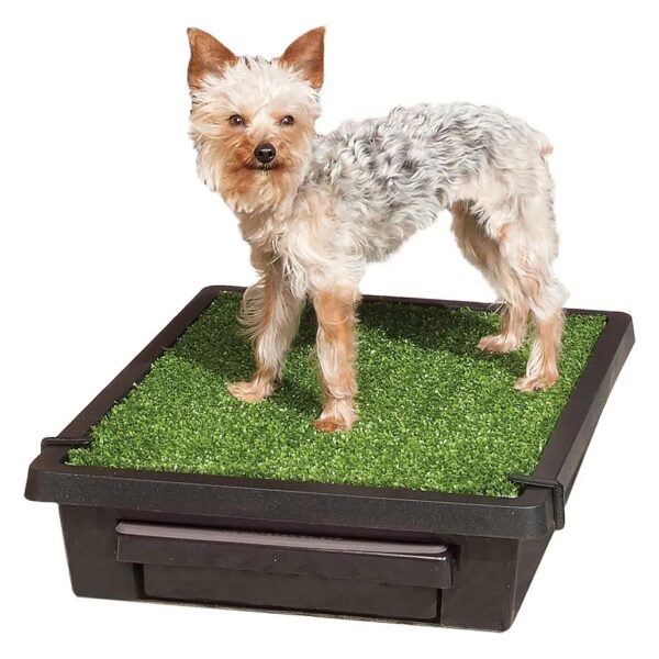 Easy-to-Clean Synthetic Grass Mat for Small Dog Potty